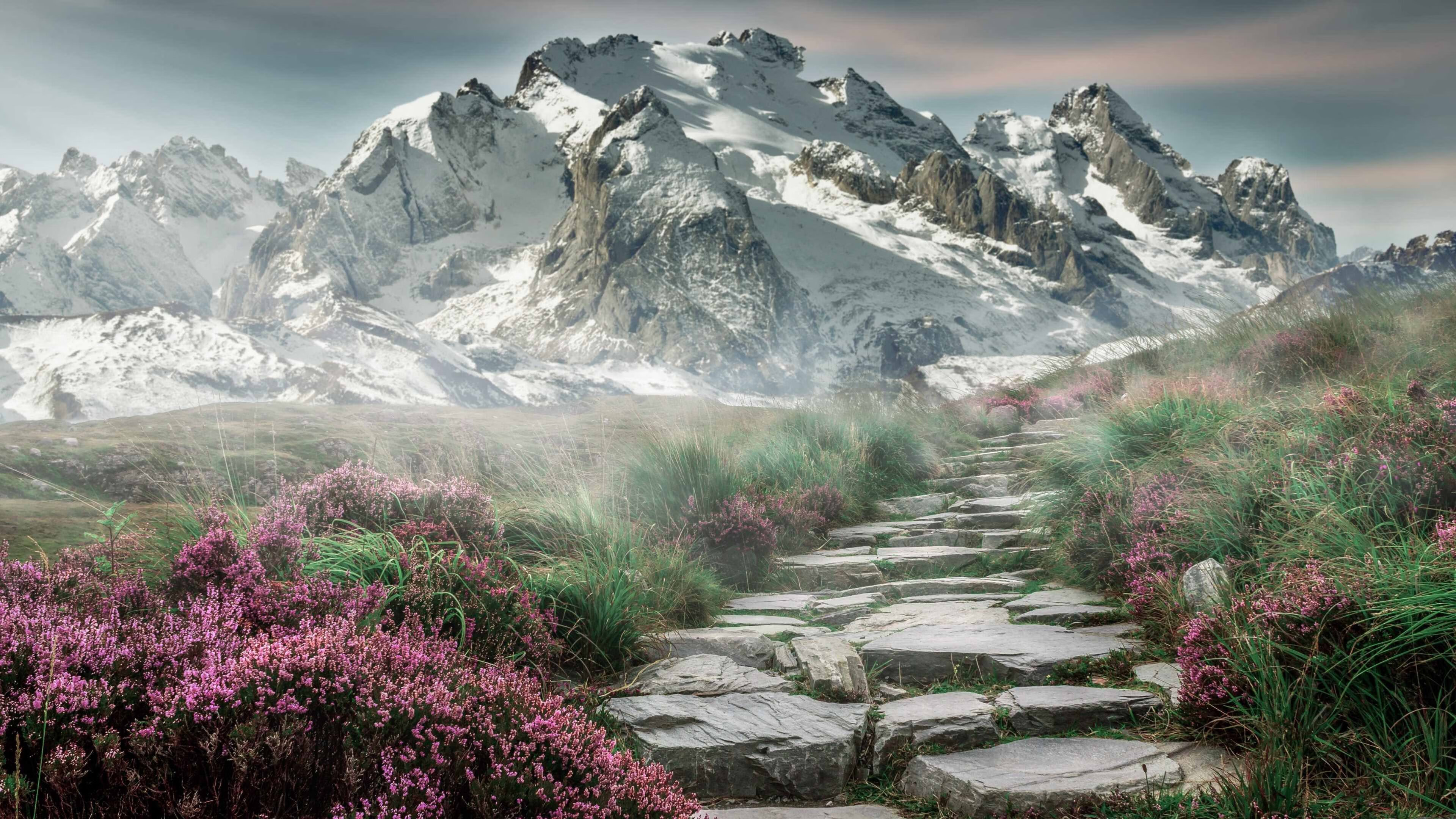 未来五年：澳大利亚队如何提升国际赛场上的竞争力，澳大利亚国家队