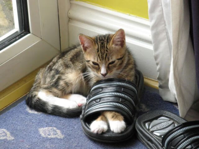 湖中竞技，划出城市活力新曲线，湖中是哪个学校