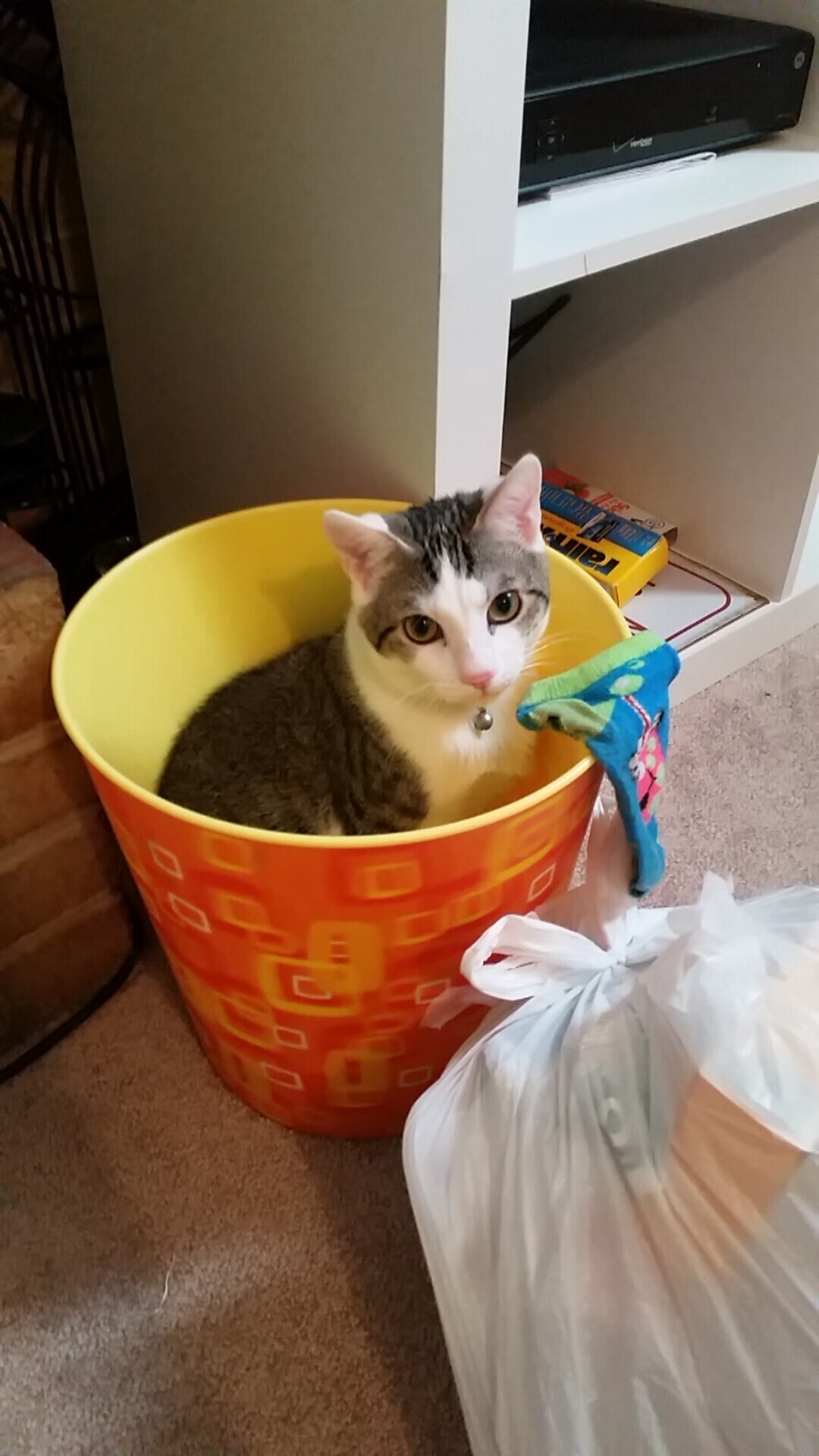 体育明星公益活动引发热潮,体育明星公关案例